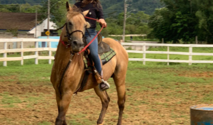 Sela para três tambores