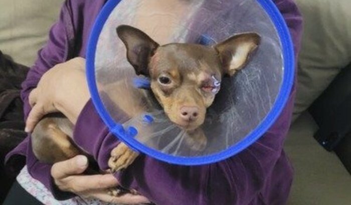 Ajuda nos custos pós cirurgia