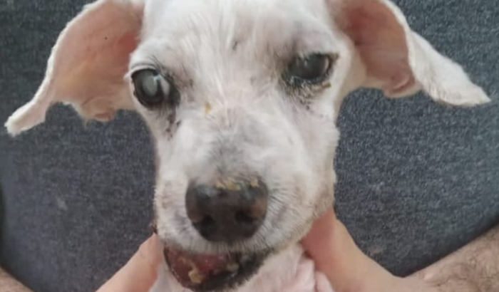 Ajudem a tratar o câncer do Johnny