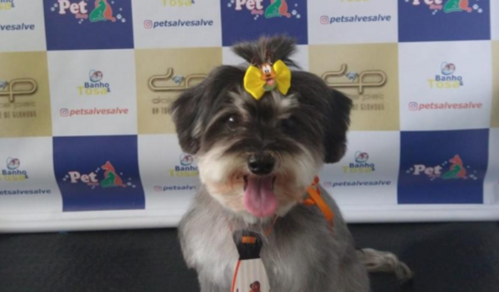 Ajudem Marley a realizar a cirurgia 