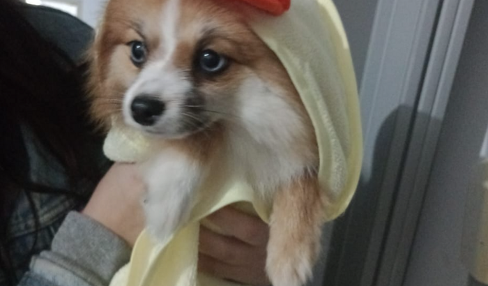 UMA MÃOZINHA PARA VAL