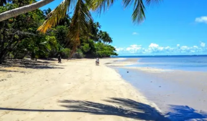 Oi ! Não passe minha vaquinha