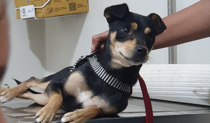 AJUDA PARA COBRIR OS GASTOS DA RITINHA COMO EXAMES E REMÉDIOS