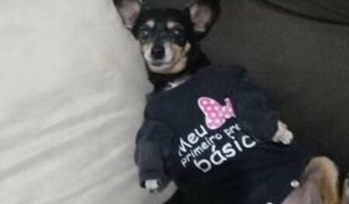 TRATAMENTO MIUCHA! 🐶 