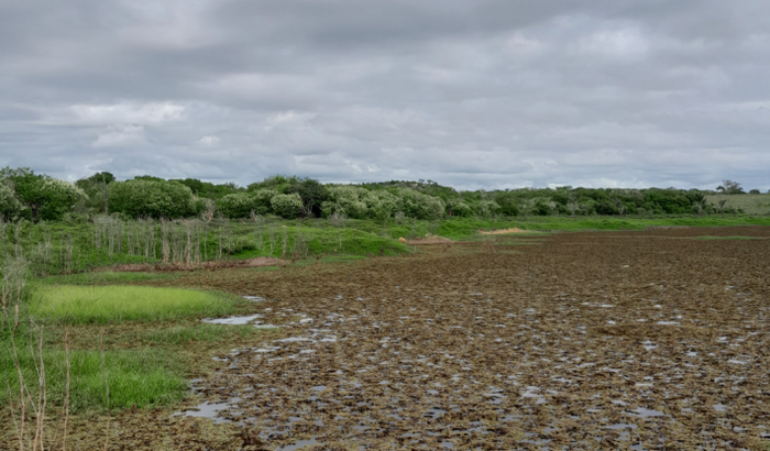 Todos por Mila empreendeder