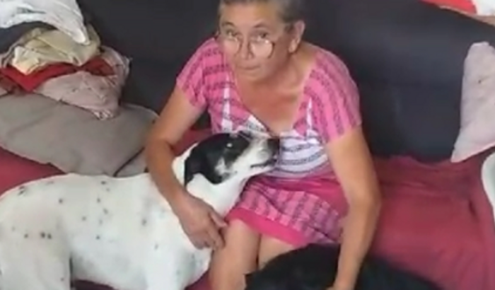 Ajuda para casal levar seus animais na mudança de SP para Piauí