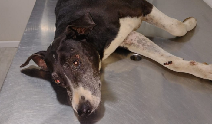 MÃEZINHA FRATURADA 💔