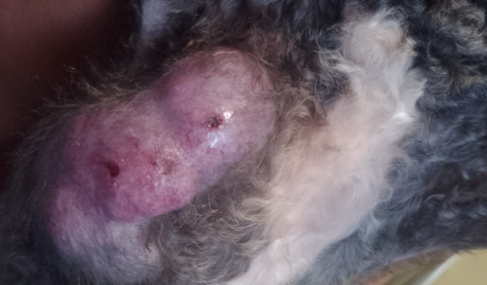 Ajude a Milena a vencer o câncer