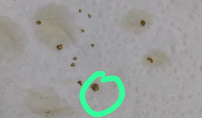 Custear a cirurgia do meu cachorro.