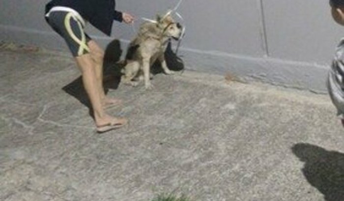 Ajuda pra pagar tratamento.