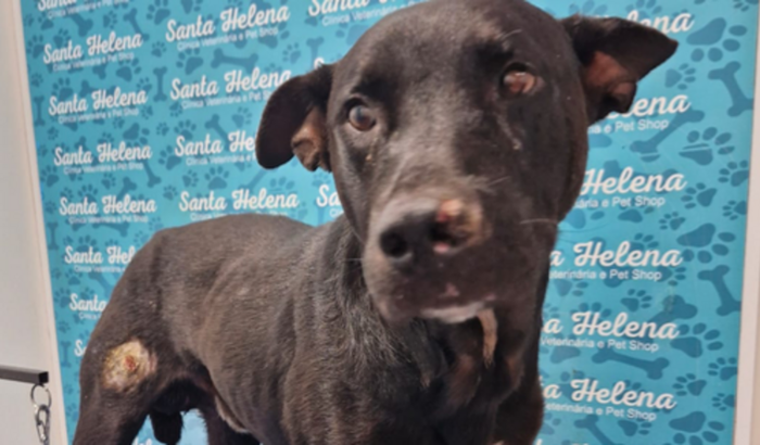 AJUDA PARA O JUCA 🙏