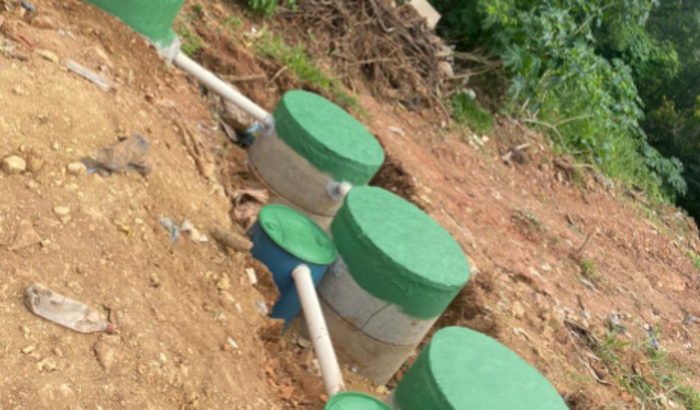 Implatação de Sistema Biodespoluente Ecológico