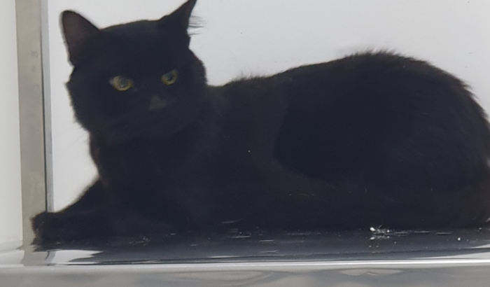 Ajude o Cleitinho do Grau se Recuperar: 2a Internação