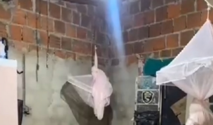 Alimentação,reformar casa,material escola