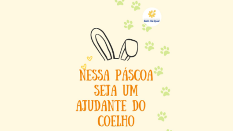 Ajudantes do Coelho da Páscoa 2024