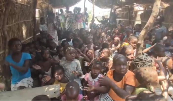 Salvando vida e matando fome