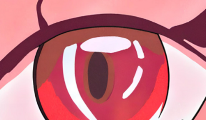 Investimento para escrever e publicar meu livro