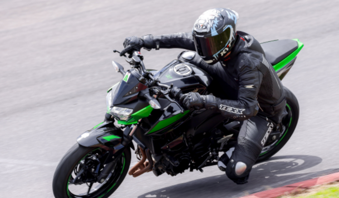 Do iniciante ao profissional