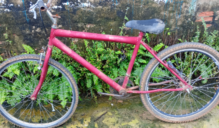 Comprar uma bicicleta nova, pois a minha quebrou tá com o pneu furado o guidom, freios, e pedal estragados