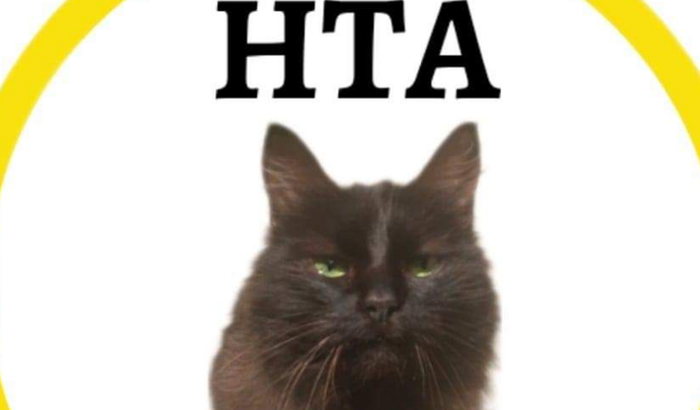 Ajuda para Aghata da Gata