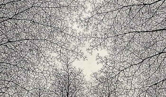 Patrocínio Meta Hailworks agency 