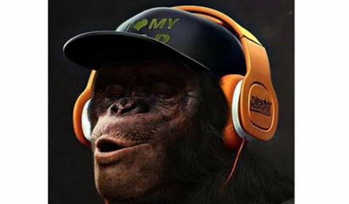 Placa mãe pro Simba