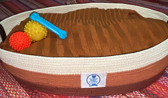 Eliane Torquato -Ajuda na compra de máquina industrial para produção de camas e acessórios para pets