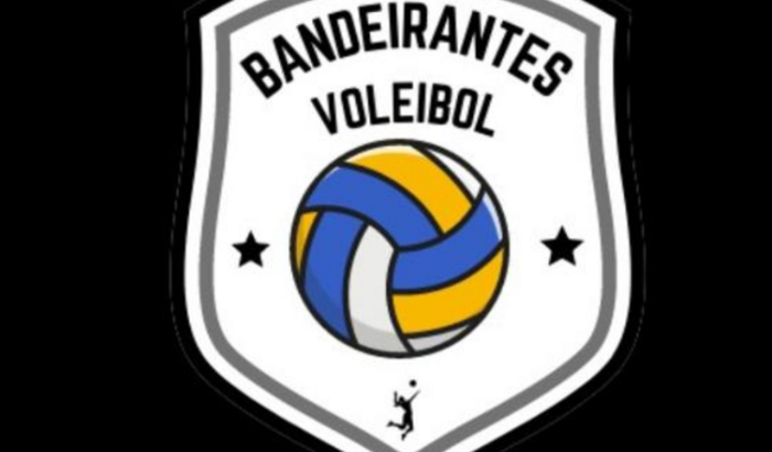 Bola de Vôlei Pro Band Vôlei 
