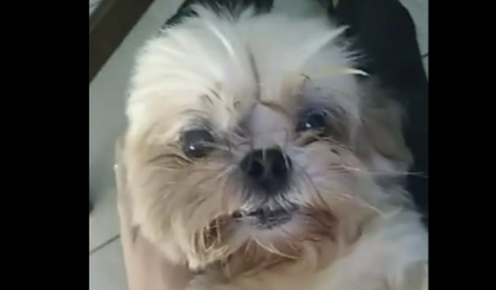 CIRURGIA PEDRA NOS RINS DE XEROLYNE