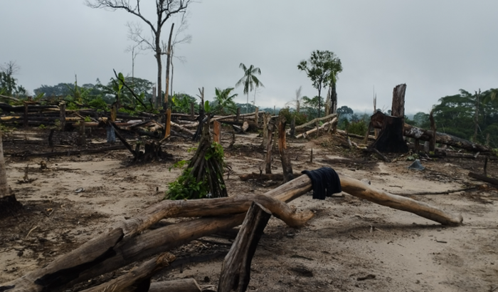 Arrecadação para Aldeia Segredo do Artesão