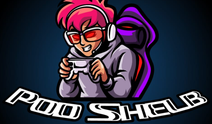 Para ajuda no conserto do notebook para continuar com as live do podcast 