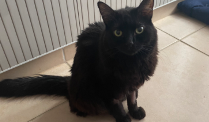 Uma mão amiga para Berenice - Ajude-nos nesta causa!