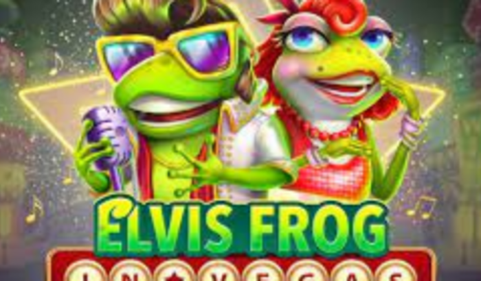 dinheiro para investir no elvis frog e botar comida na mesa das criança