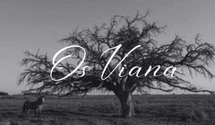 Série "Os Viana"