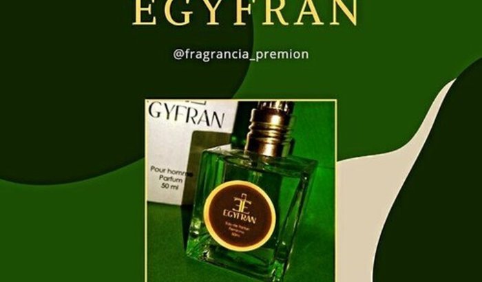 Ajuda para meu negócio 