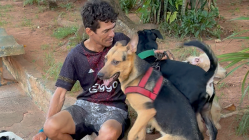 imagem da vaquinha Vamos Ajudar o Francilei e os Cachorrinhos! 