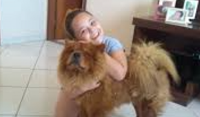 Cães e Gatos Ltda