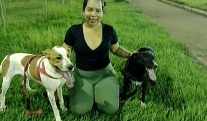 Ajuda a cuida dos meus pets 🐶