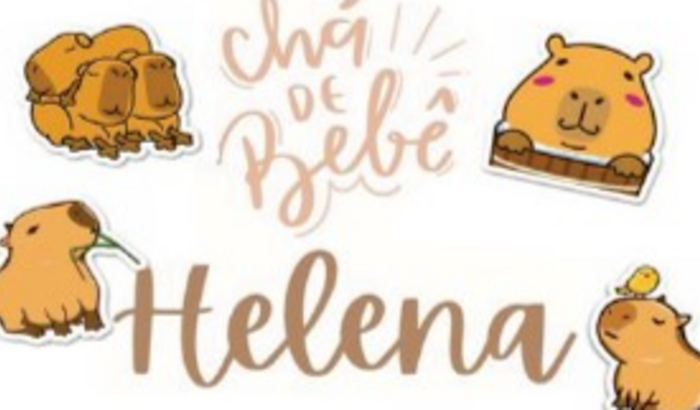 Chá de Bebê Helena