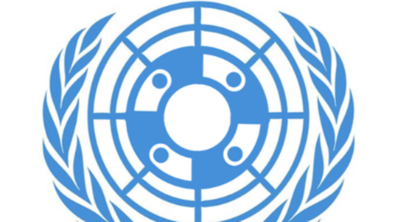 Ajuda para alunos de escola pública participarem de conferência de simulação da ONU