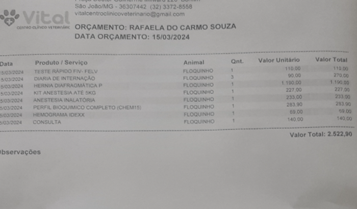 Ajuda floquinho na cirurgia 
