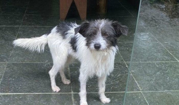 Cirurgia cardio do Barto!