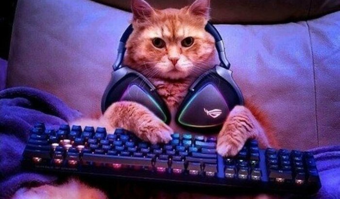 Me ajude a montar o meu computador :)