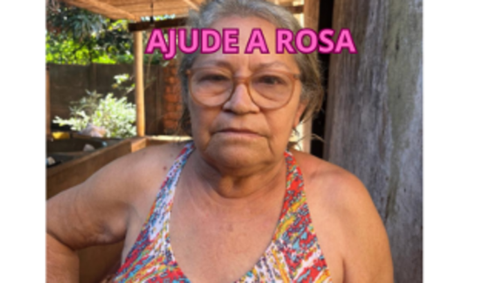 Ajude a Rosa