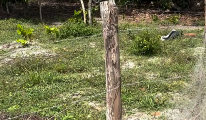 Construção de minha casa 