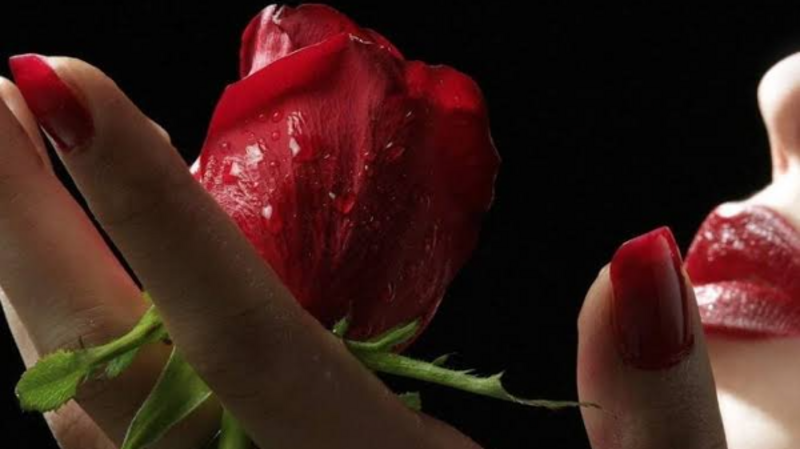 Uma Rosa🌹 para Maria 2024