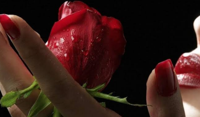 Uma Rosa🌹 para Maria 2024