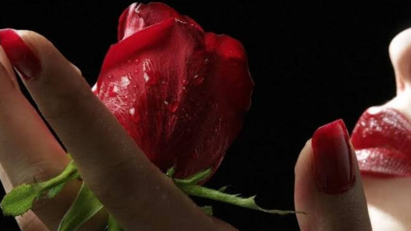 Uma Rosa🌹 para Todas as Marias