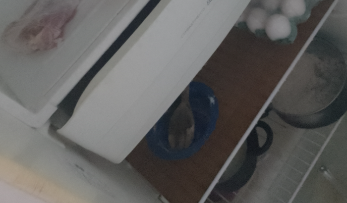 Estou Passando Dificuldades Em Casa Com Meu Filho De 4 meses Tou Sem Trabalha Quem Pode Mim Ajuda Tá Faltando Leite 