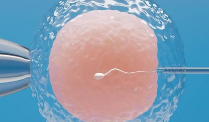 Nos ajude a realizar o Sonho de formar nossa família!